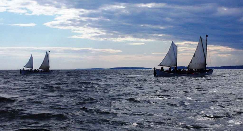 two sailboats glide in blue open water on an outward bound course in maine